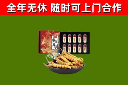 河东回收冬虫夏草价格