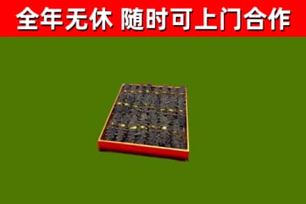 河东回收海参
